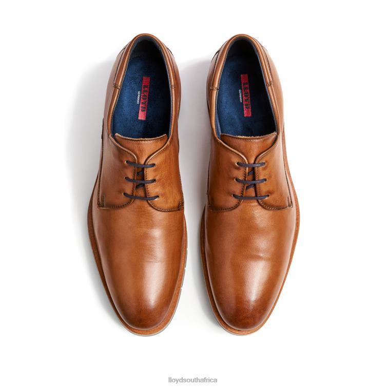 Shoes brown LLOYD TAMBO Men 86B4D23
