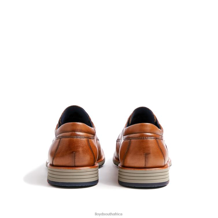 Shoes brown LLOYD TAMBO Men 86B4D23