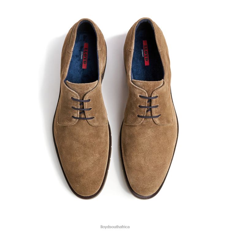 Shoes brown LLOYD TAMBO Men 86B4D92