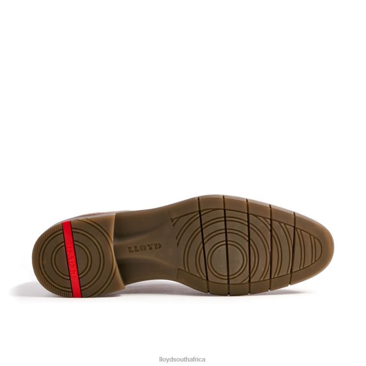 Shoes brown LLOYD TAMBO Men 86B4D92