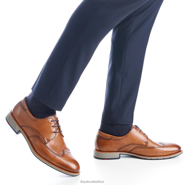 Shoes brown LLOYD TAYLOR Men 86B4D1325