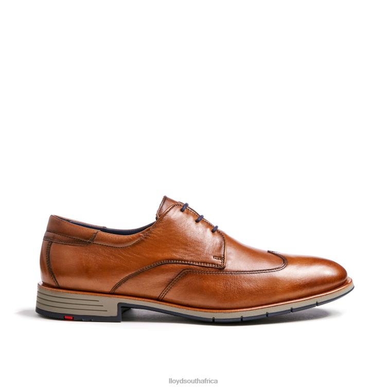 Shoes brown LLOYD TAYLOR Men 86B4D1325