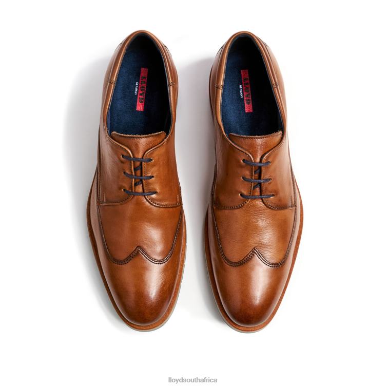 Shoes brown LLOYD TAYLOR Men 86B4D1325