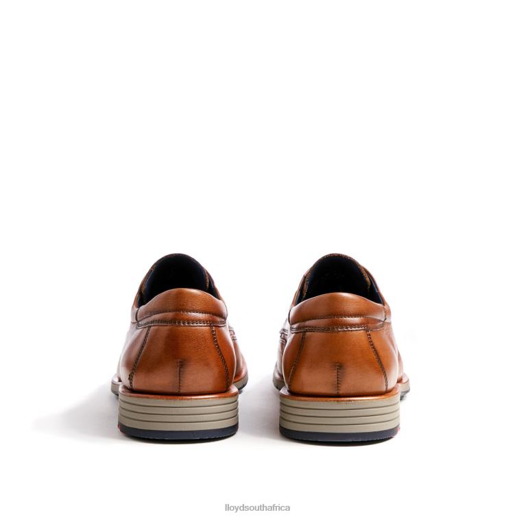 Shoes brown LLOYD TAYLOR Men 86B4D1325