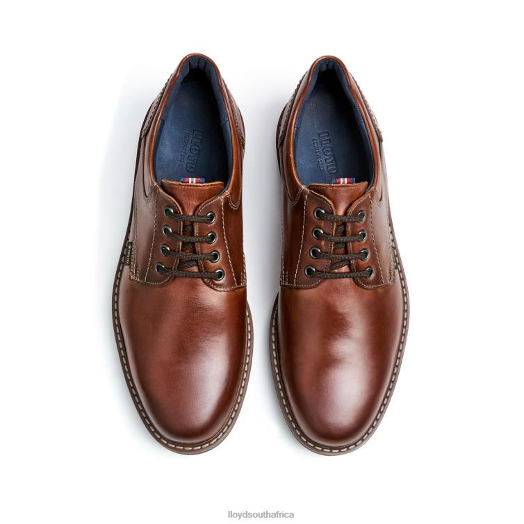 Shoes brown LLOYD VANJA Men 86B4D125