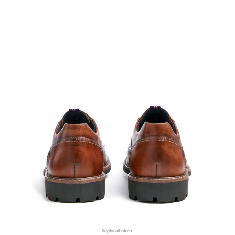 Shoes brown LLOYD VANJA Men 86B4D125