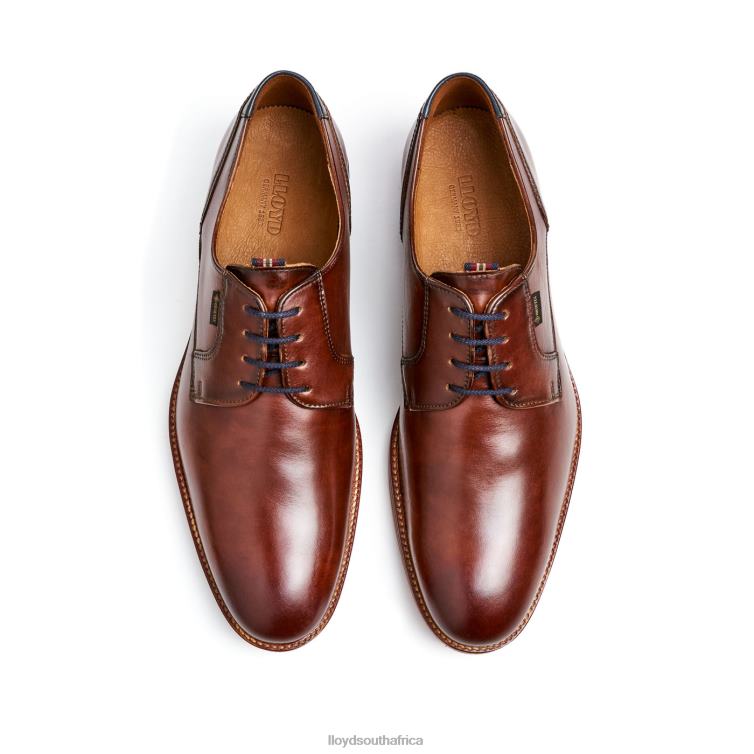 Shoes brown LLOYD VICKERS Men 86B4D122