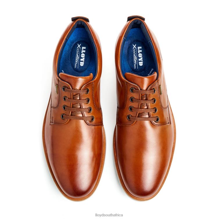 Shoes brown LLOYD VIN Men 86B4D139