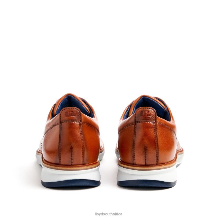 Shoes brown LLOYD VIN Men 86B4D139