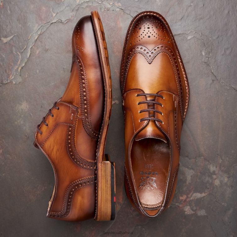 Shoes brown LLOYD WARWICK Men 86B4D74