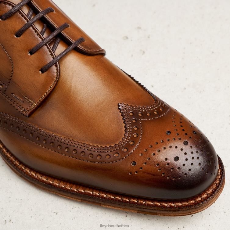 Shoes brown LLOYD WARWICK Men 86B4D74