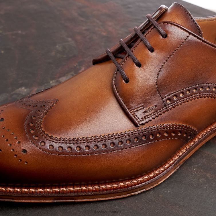 Shoes brown LLOYD WARWICK Men 86B4D74