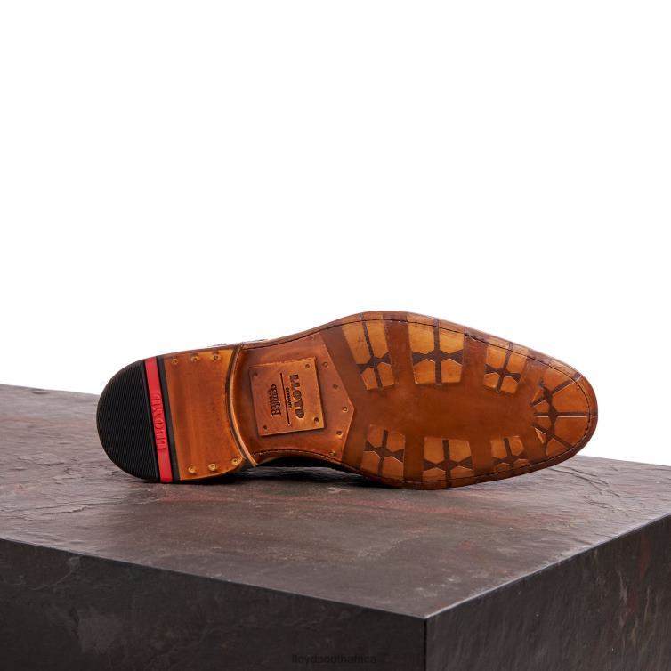 Shoes brown LLOYD WARWICK Men 86B4D74