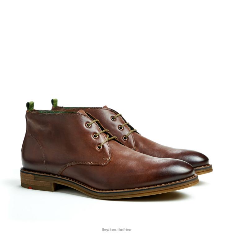 Shoes brown LLOYD DARTMOOR Men 86B4D44