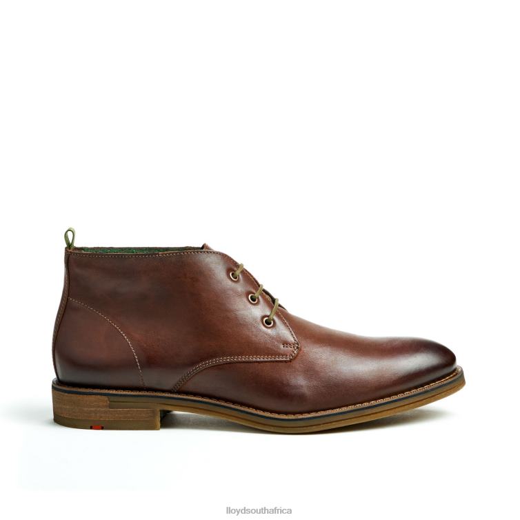 Shoes brown LLOYD DARTMOOR Men 86B4D44