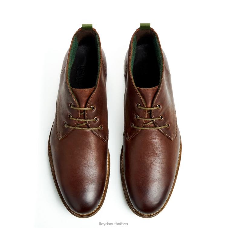 Shoes brown LLOYD DARTMOOR Men 86B4D44