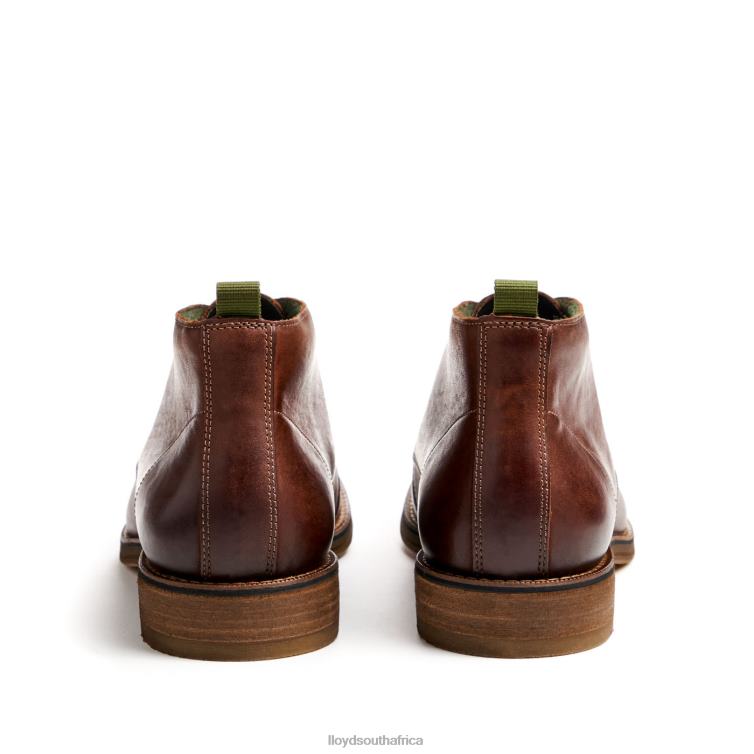 Shoes brown LLOYD DARTMOOR Men 86B4D44