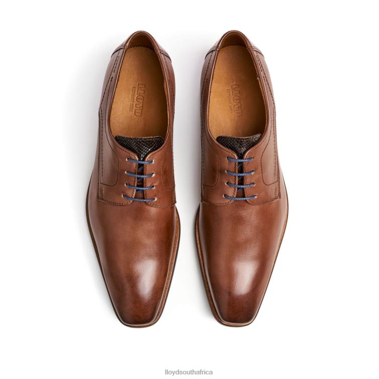 Shoes brown LLOYD DON Men 86B4D112