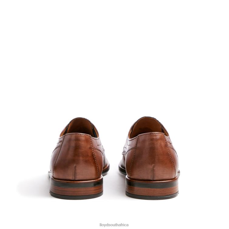 Shoes brown LLOYD DON Men 86B4D112