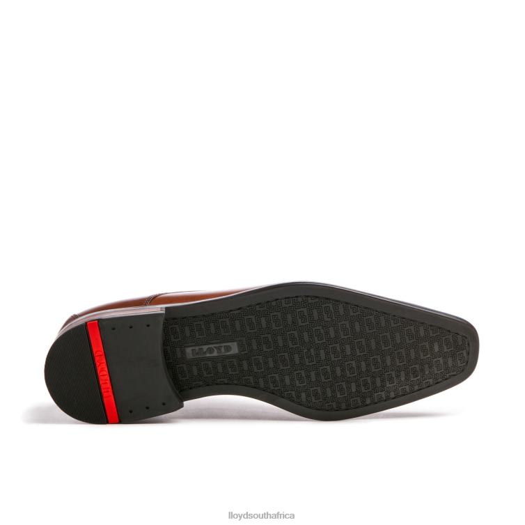 Shoes brown LLOYD DON Men 86B4D112