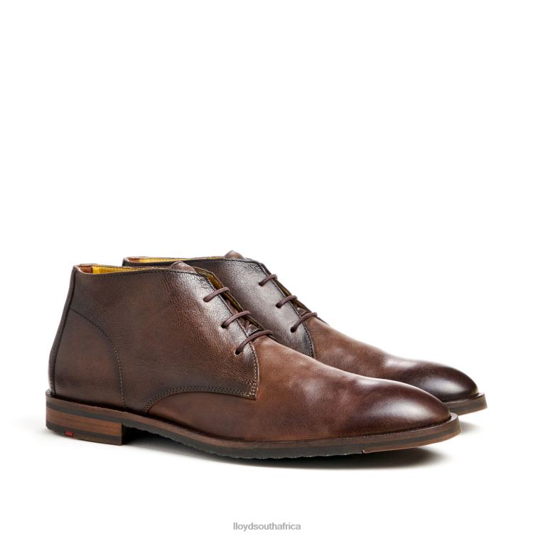 Shoes brown LLOYD DUKE Men 86B4D43