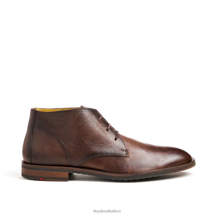 Shoes brown LLOYD DUKE Men 86B4D43