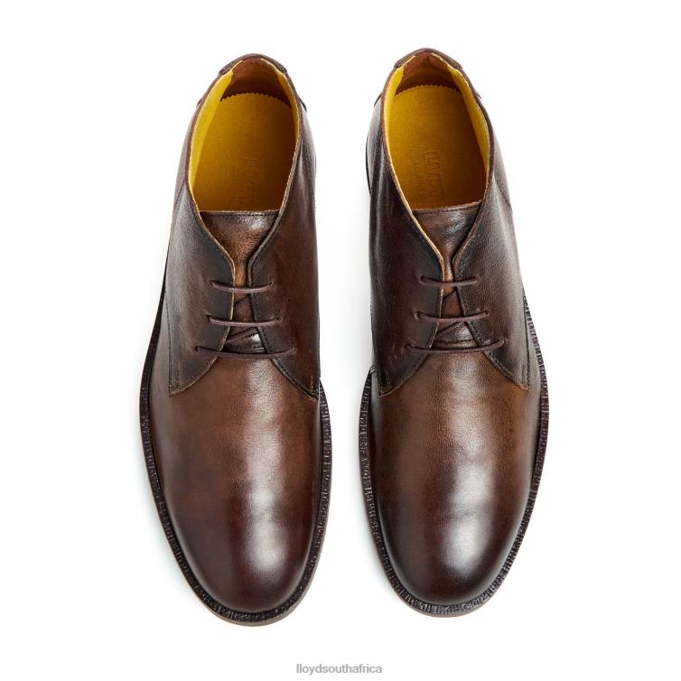 Shoes brown LLOYD DUKE Men 86B4D43