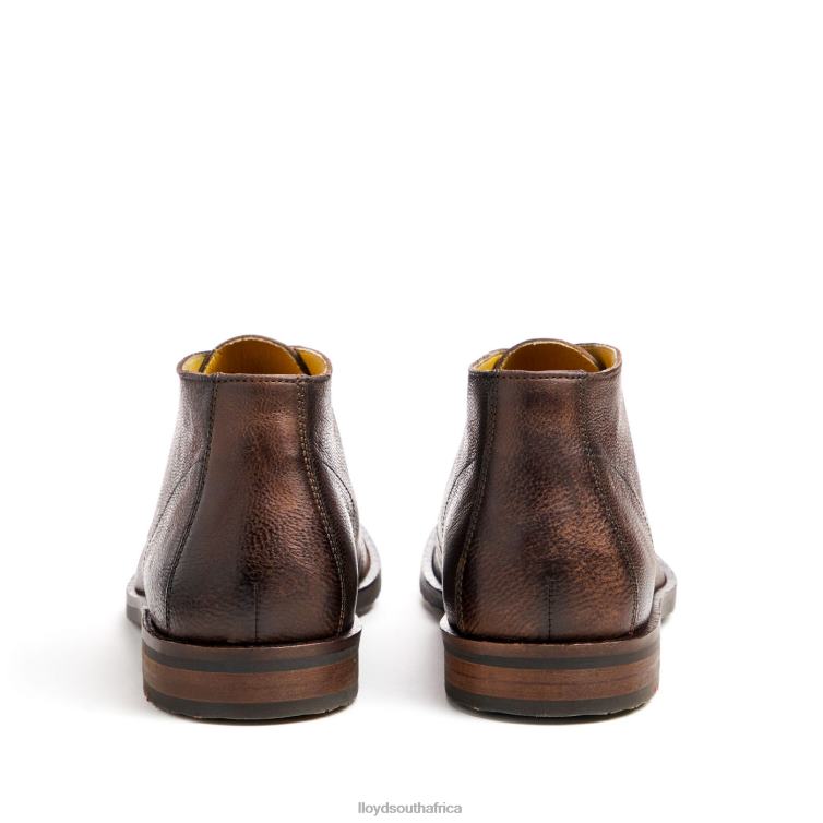 Shoes brown LLOYD DUKE Men 86B4D43