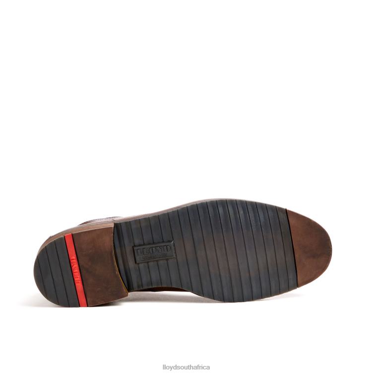 Shoes brown LLOYD DUKE Men 86B4D43