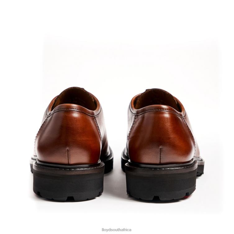 Shoes brown LLOYD FELIPE Men 86B4D137
