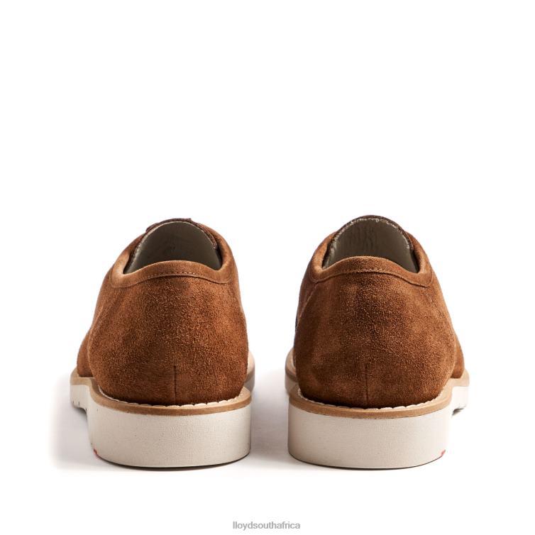 Shoes brown LLOYD LEVI Men 86B4D210