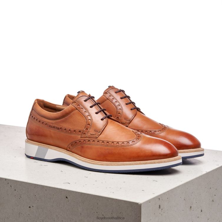 Shoes brown LLOYD NAFIR Men 86B4D247