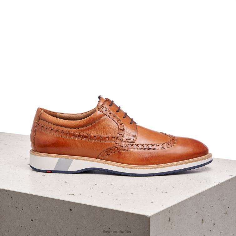 Shoes brown LLOYD NAFIR Men 86B4D247