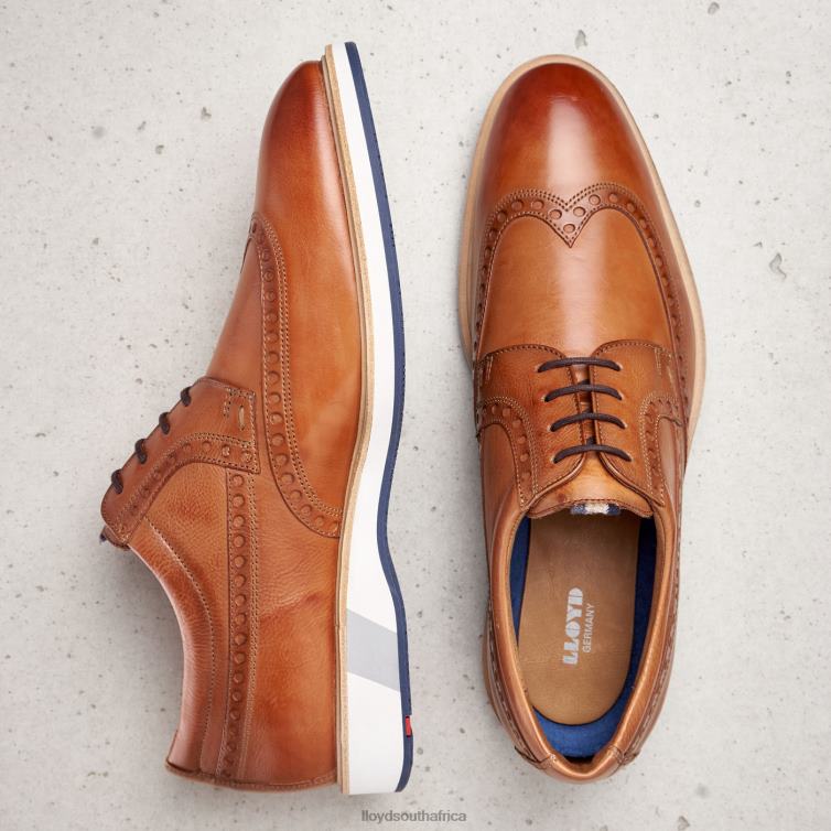 Shoes brown LLOYD NAFIR Men 86B4D247