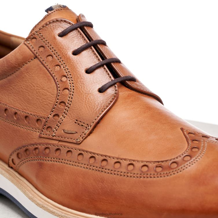 Shoes brown LLOYD NAFIR Men 86B4D247