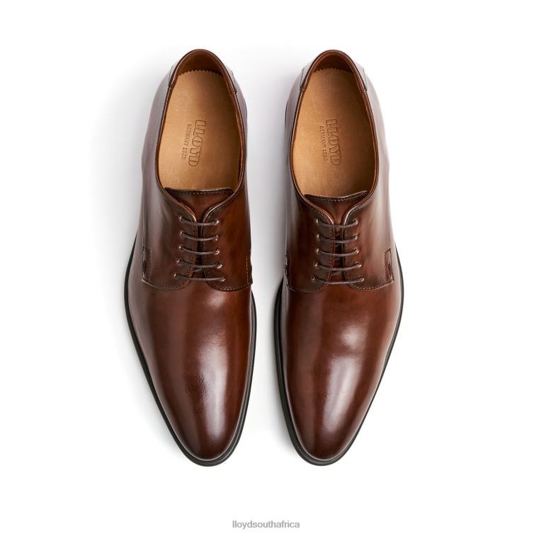 Shoes brown LLOYD NIK Men 86B4D127