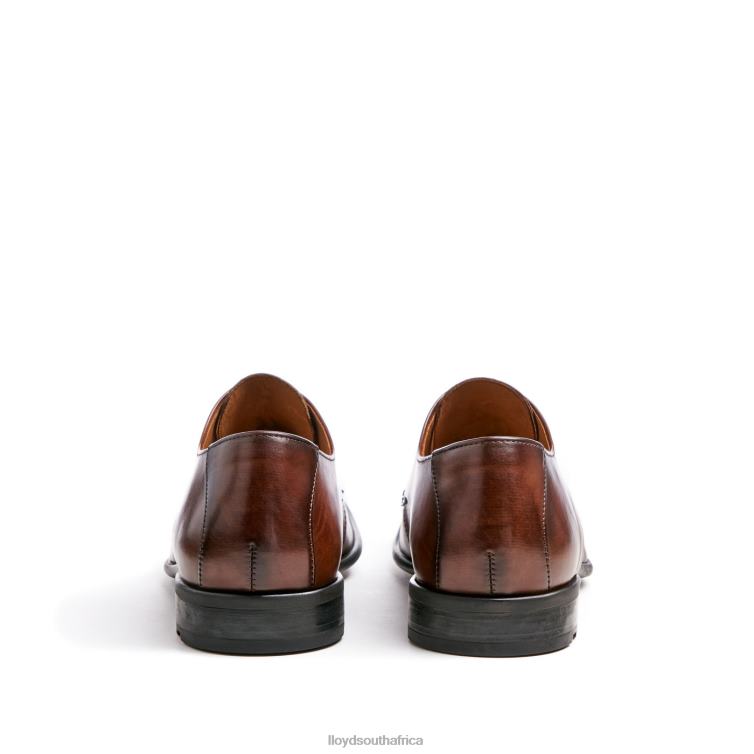 Shoes brown LLOYD NIK Men 86B4D127