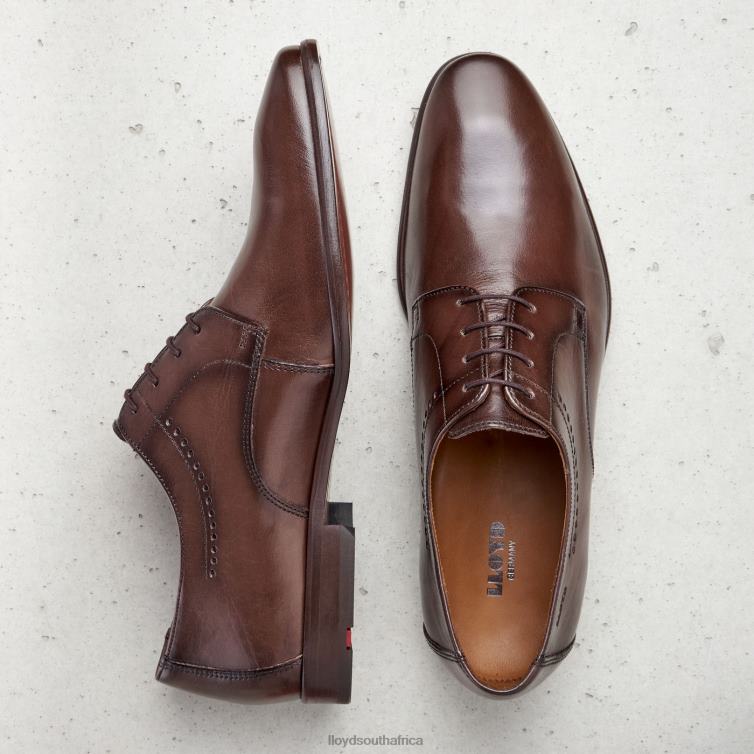 Shoes brown LLOYD OCAS Men 86B4D575