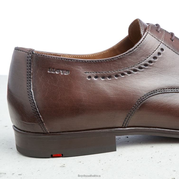 Shoes brown LLOYD OCAS Men 86B4D575