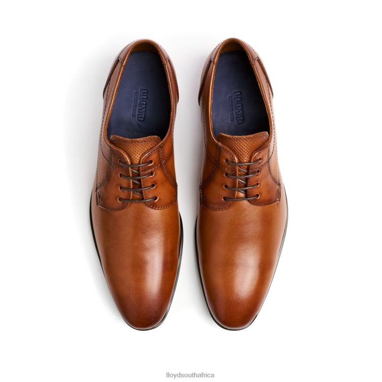 Shoes brown LLOYD OSMOND Men 86B4D84