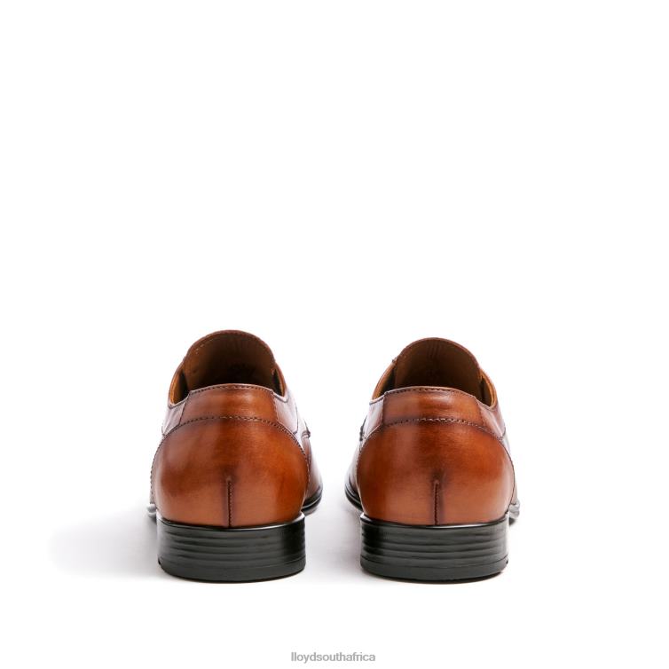 Shoes brown LLOYD OSMOND Men 86B4D84