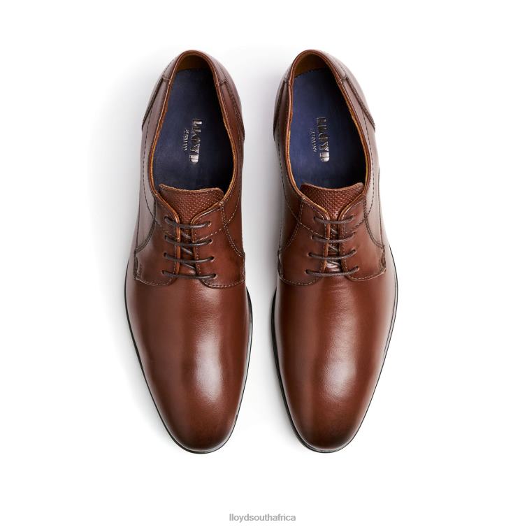 Shoes brown LLOYD OSMOND Men 86B4D85