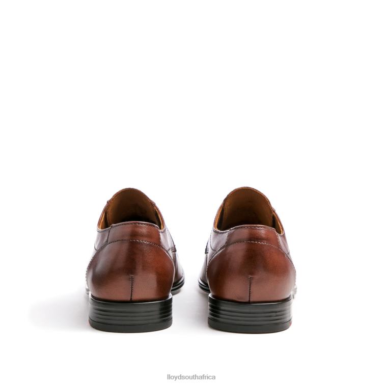 Shoes brown LLOYD OSMOND Men 86B4D85