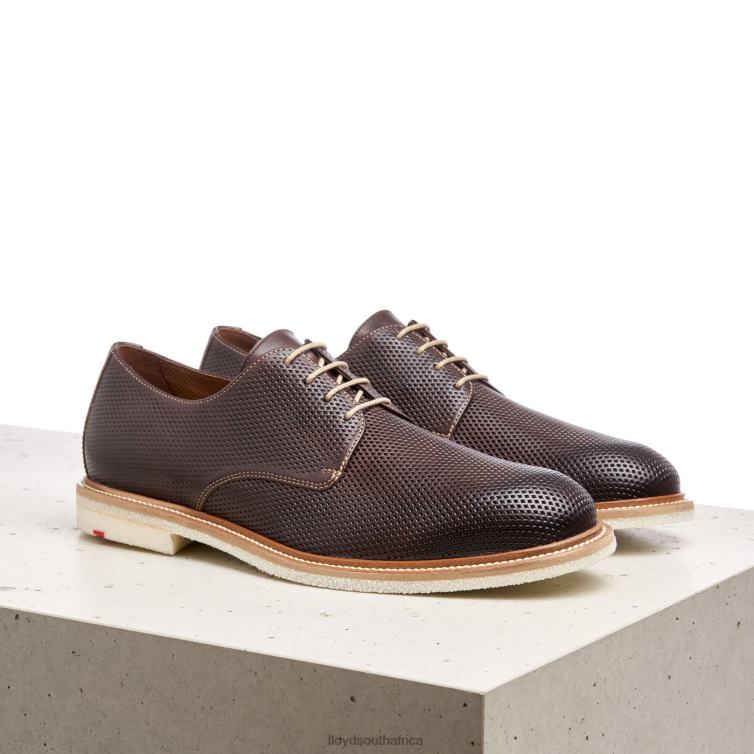 Shoes brown LLOYD PALMA Men 86B4D226