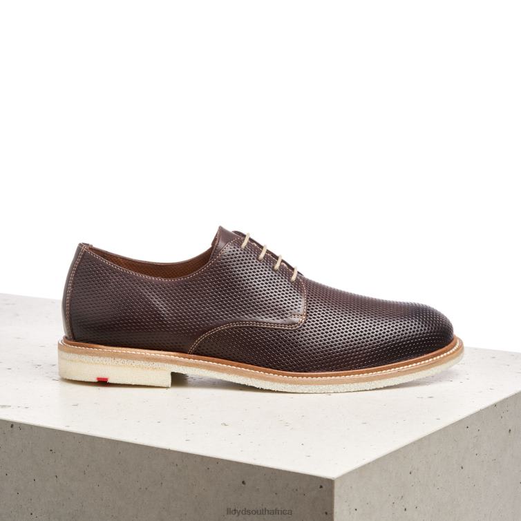 Shoes brown LLOYD PALMA Men 86B4D226