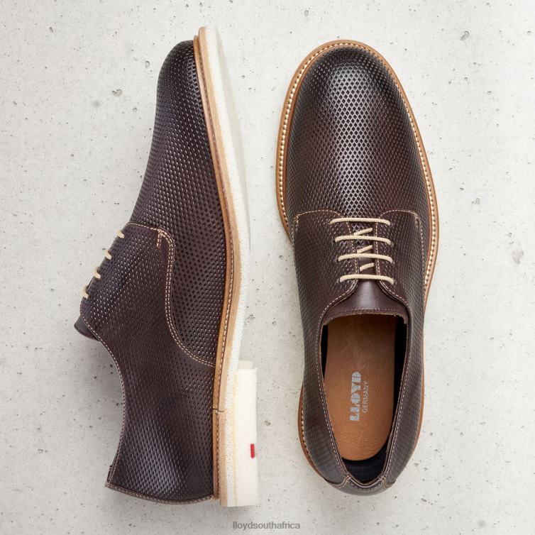 Shoes brown LLOYD PALMA Men 86B4D226