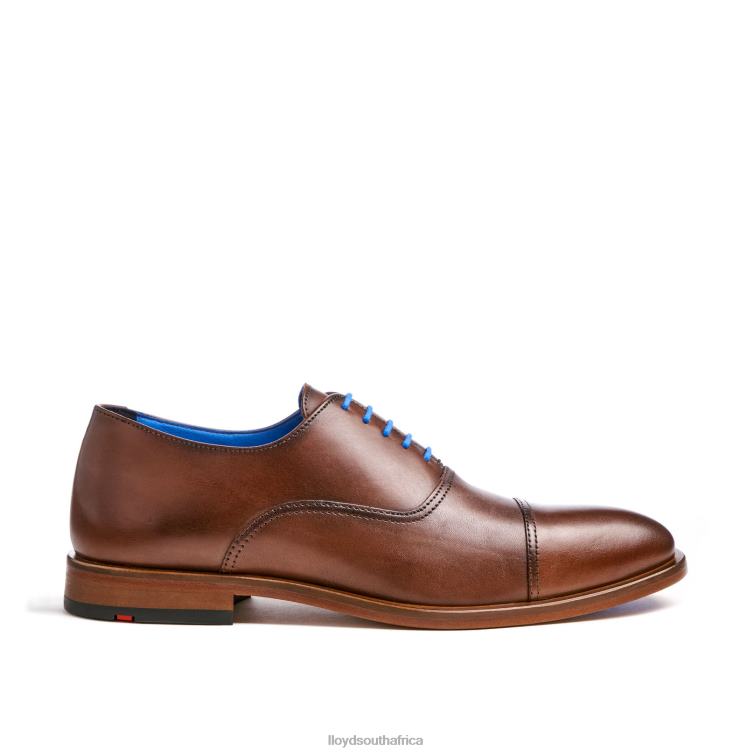 Shoes brown LLOYD ROB Men 86B4D130