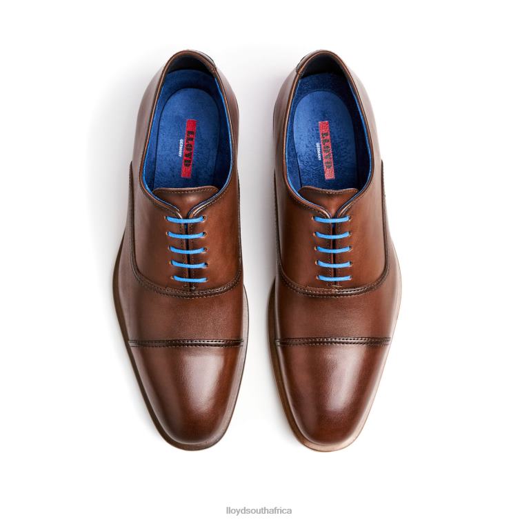 Shoes brown LLOYD ROB Men 86B4D130