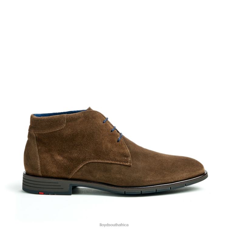 Shoes brown LLOYD TAMAR Men 86B4D49