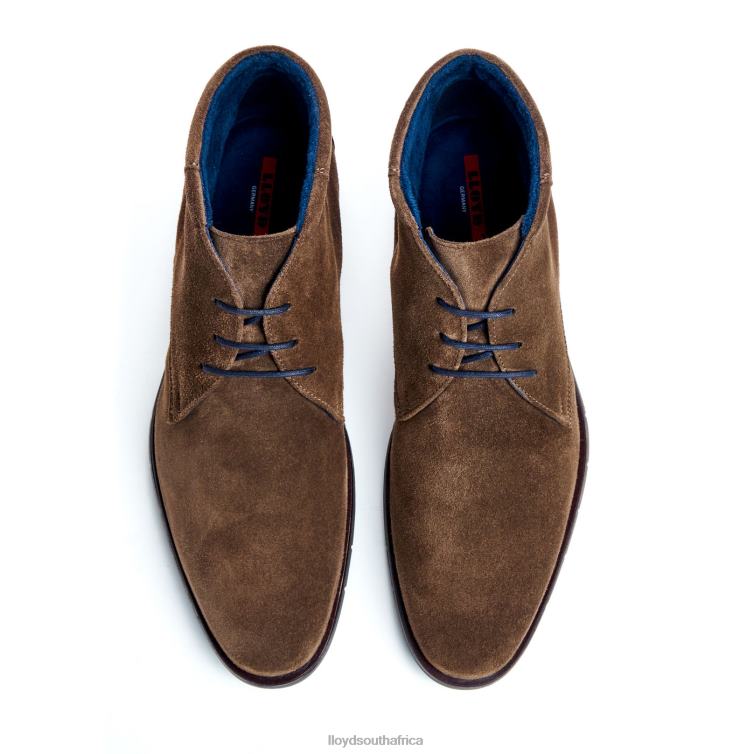 Shoes brown LLOYD TAMAR Men 86B4D49